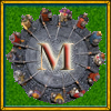 Master offline tournament 'HeroesLands4' in 2011